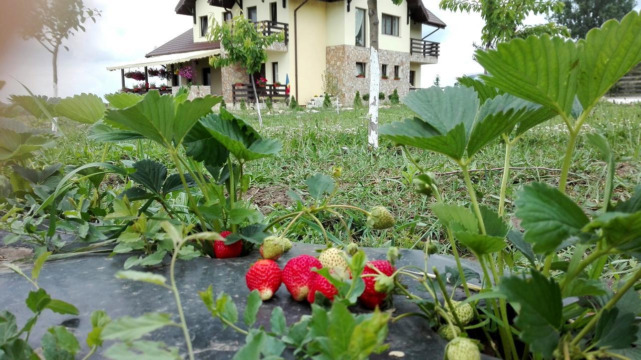 Dor De Casa Hotel Doljesti Ngoại thất bức ảnh